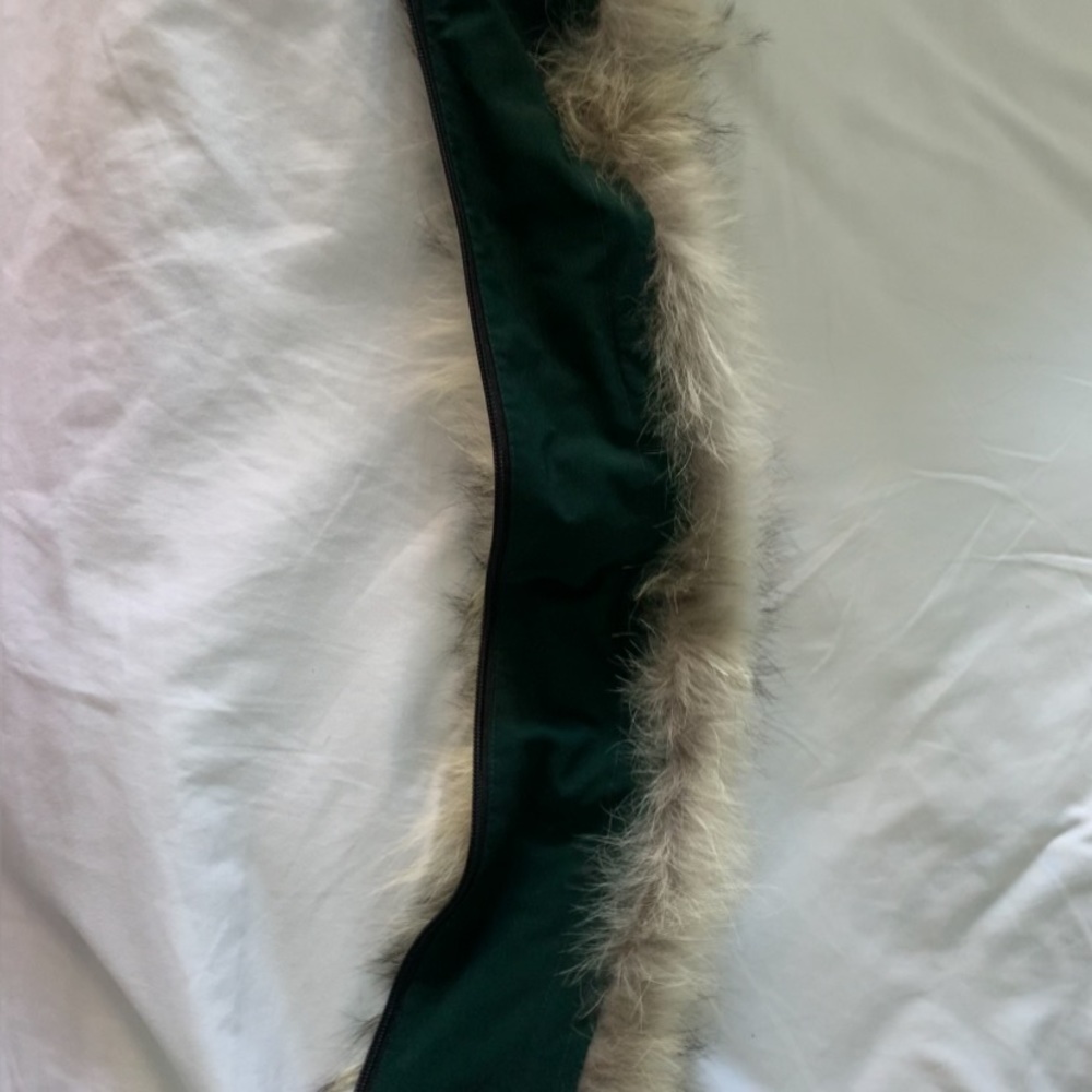 Canada goose fur